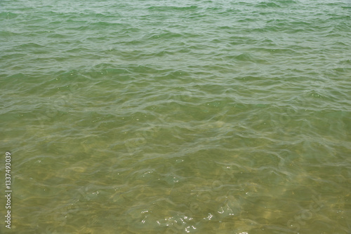 Obraz na płótnie dettaglio del profondo fondale marino e superficie semi-trasparente del mare Adriatico, di giorno, in estate w salonie