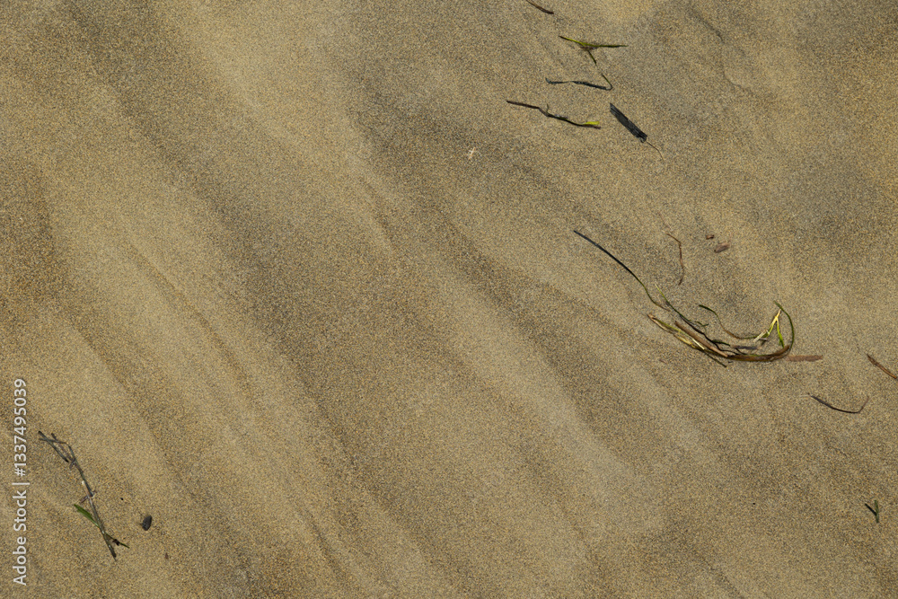 dettagli di una superficie di sabbia bagnata da acqua di mare