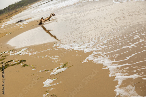Obraz na płótnie onde del mare che bagnano la sabbia lungo una spiaggia in Italia, in estate w salonie