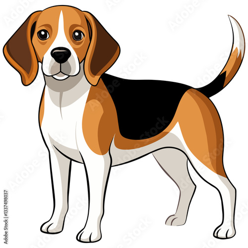 beagle vector illustration, dog breed pet drawing