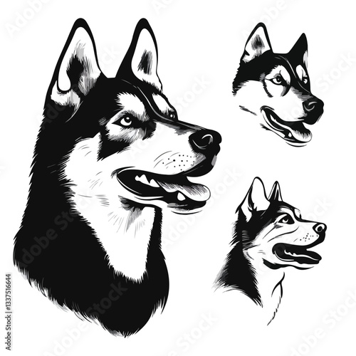 Majestic Husky Dog Portrait with Profile, Side, and Front View