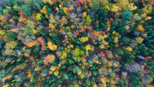 Fotografie Vue aérienne sur une forêt au Quebec Canada pendant l'été indien
