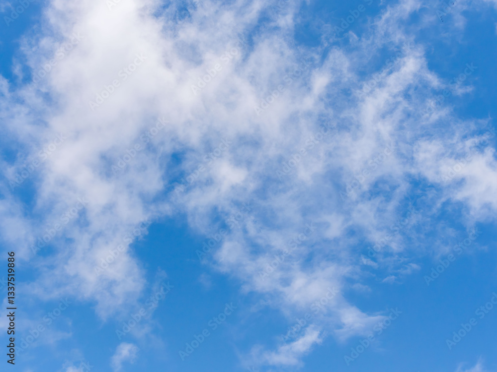 Fototapeta premium 春の空 ひと時の晴れ間の青空02