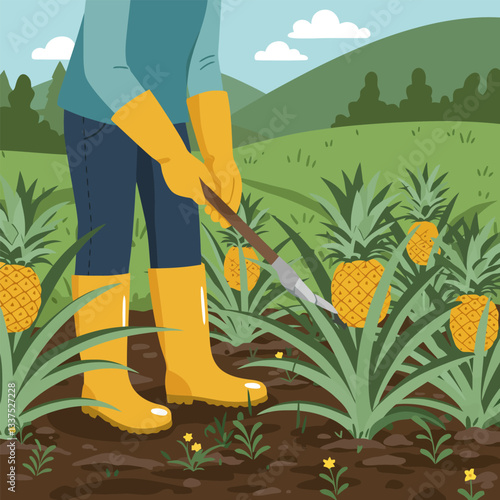 Farmer Tending Pineapple Field with Gardening Tool on Sunny Day