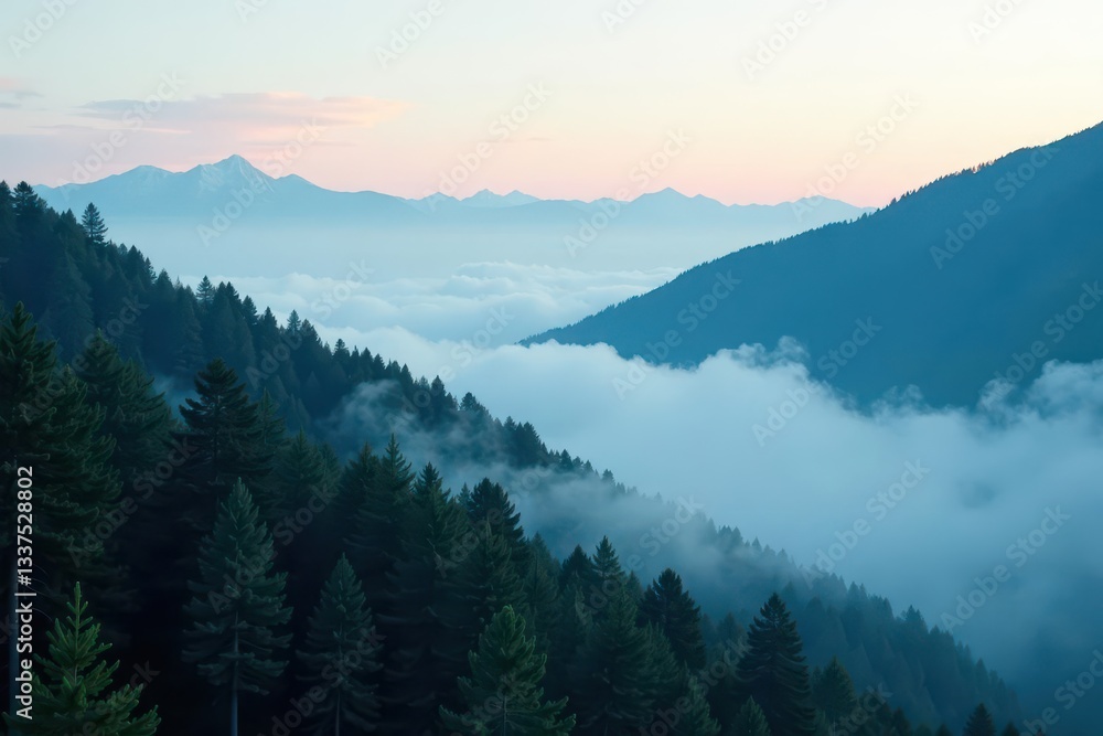 Fototapeta premium Fog drifts over dark green mountain fir trees , cold, dramatic, winter