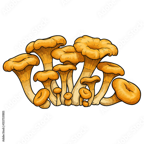 mushrooms isolated on white background