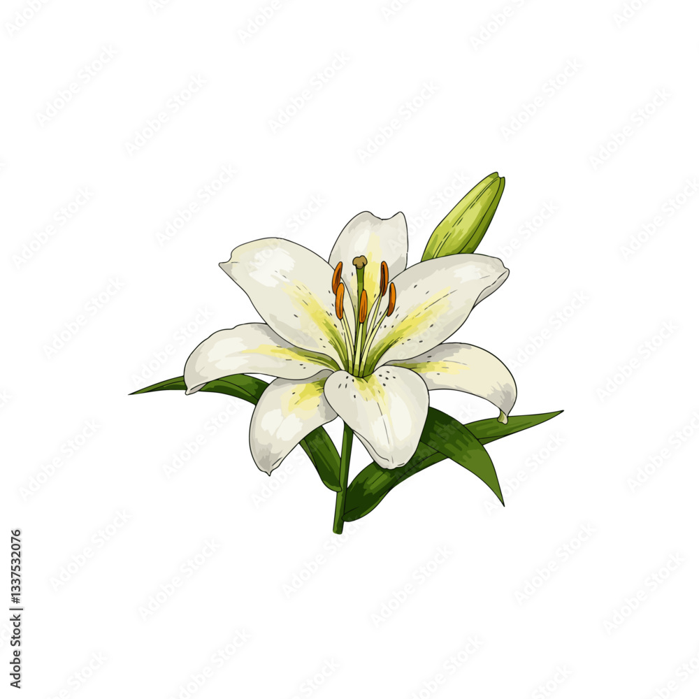 Obraz premium lily of the valley