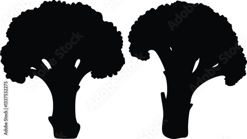 Broccoli icon black silhouette vector,Broccoli black vector