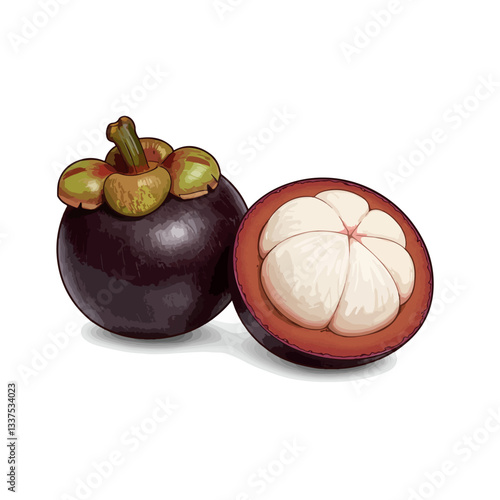 mangosteen