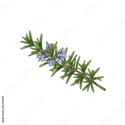 twig of rosemary