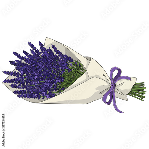 lavender flower on a white background