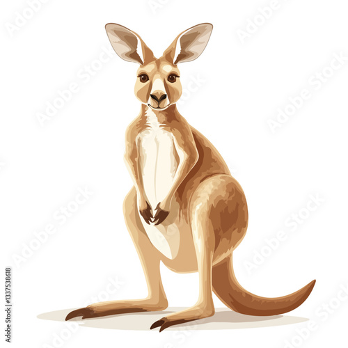 Kangaroo Full Body Vector Illustration in Australia