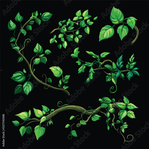 Green Leaf Liana Branch Set Isolated on Black Background