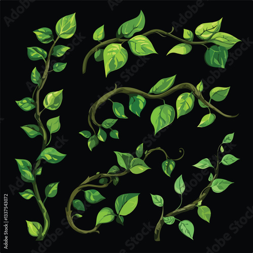 Green Leaf Liana Branch Set Isolated on Black Background