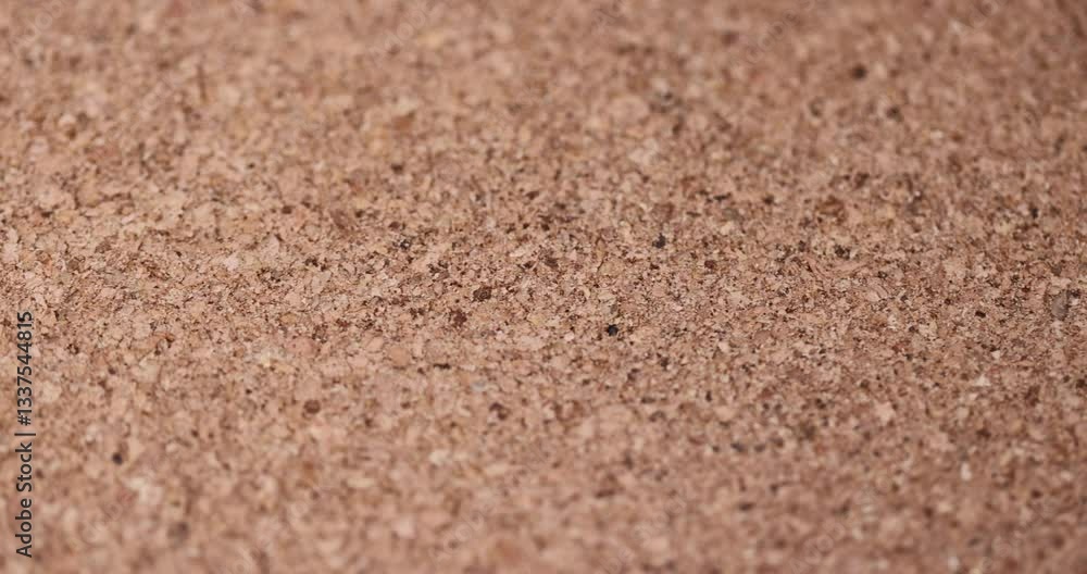 cork wood a natural soft and durable material that is obtained from the bark of a cork tree close up cork wood a natural soft and durable material that is obtained from the bark of a cork tree close up