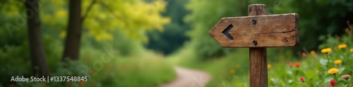 Hand-carved wooden signpost beside a winding trail Arrows indicate directions , countryside, leaf, nature