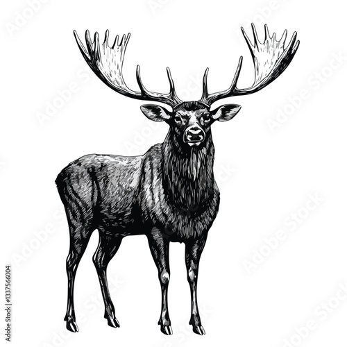 Majestic Moose Buck Elk Full Body Vector Illustration in Zoo