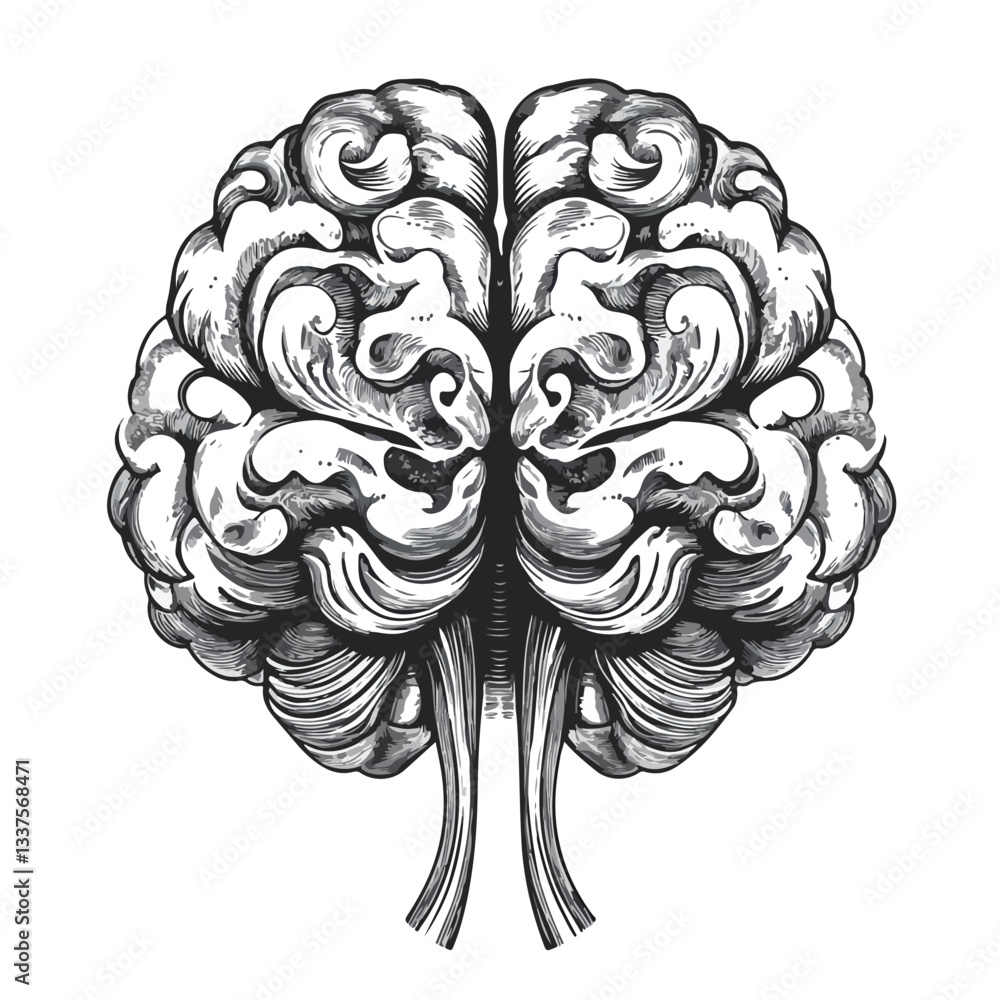 Fototapeta premium Neurodivergent Brain Vector Illustration Isolate