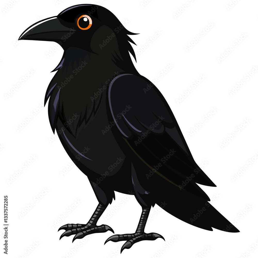 Fototapeta premium crow vector illustration, intelligent bird wildlife drawing
