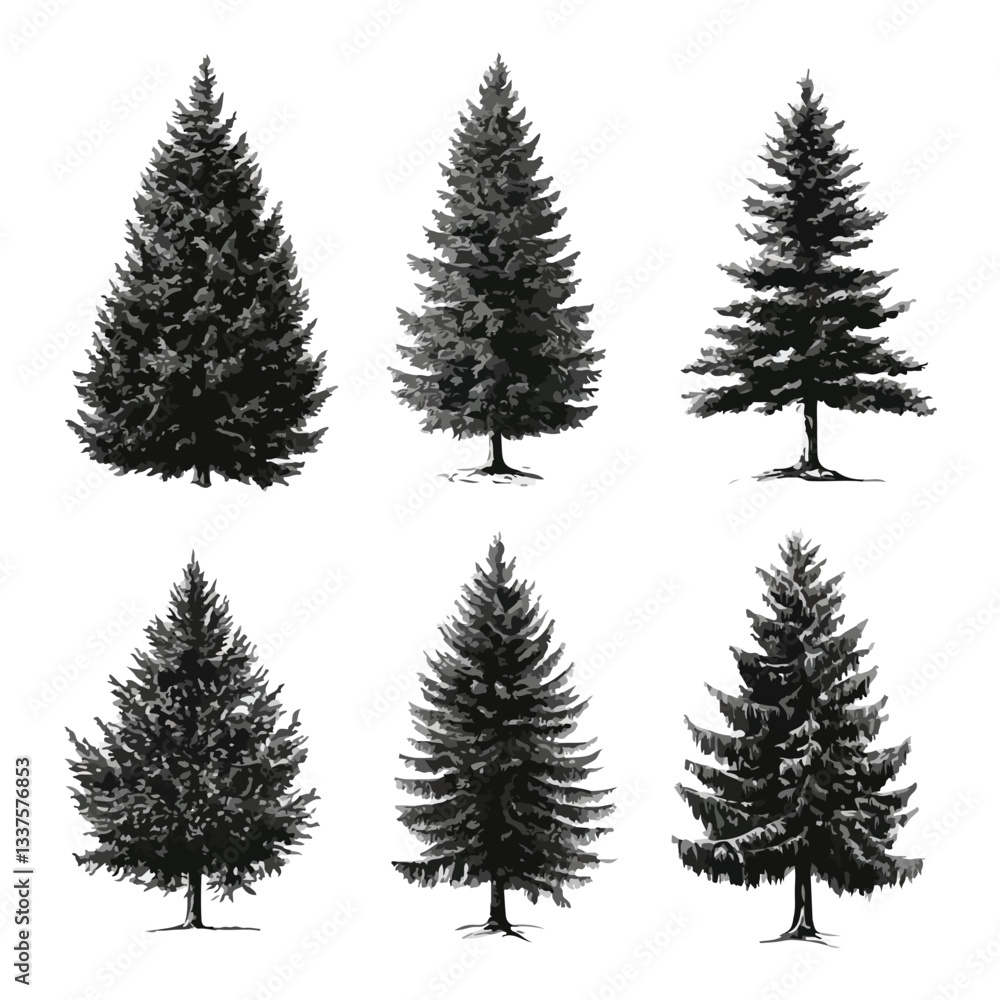 Obraz premium Pine and Fir Silhouettes Collection: Forest Trees Vector Illustration
