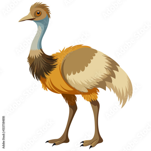 emu vector illustration, large flightless bird wildlife drawing