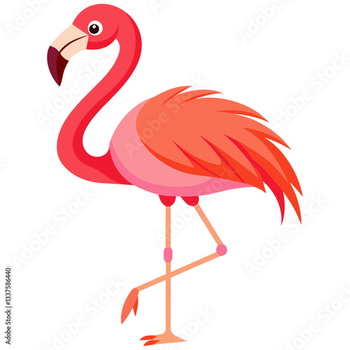 flamingo vector illustration, elegant wading bird wildlife drawing