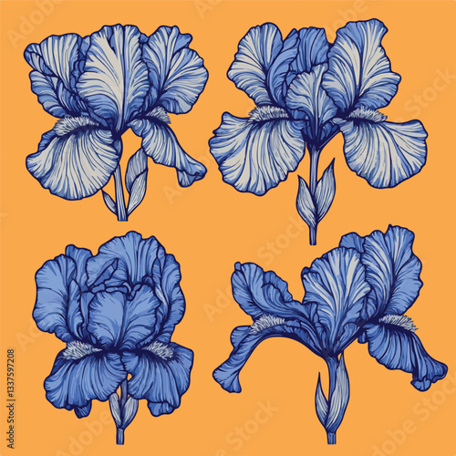 Blue Iris Flower Illustrations Set of Four