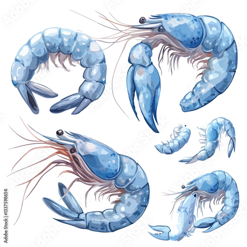 Fresh Blue Shrimp Photo Collection for Culinary Designs