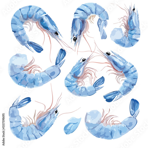 Fresh Blue Shrimp Photo Collection for Culinary Designs