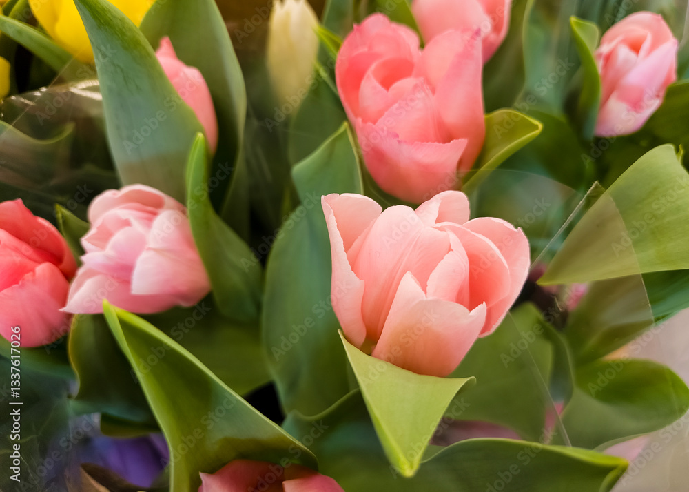 Naklejka premium Floral backdrop pattern with vibrant close up flower blooms and foliage