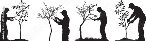 Silhouette of a gardener pruning a tree, caring for new spring growth vector silhouette