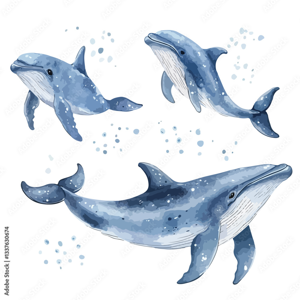 Fototapeta premium Watercolor Vector Illustration of Cute Blue Whale