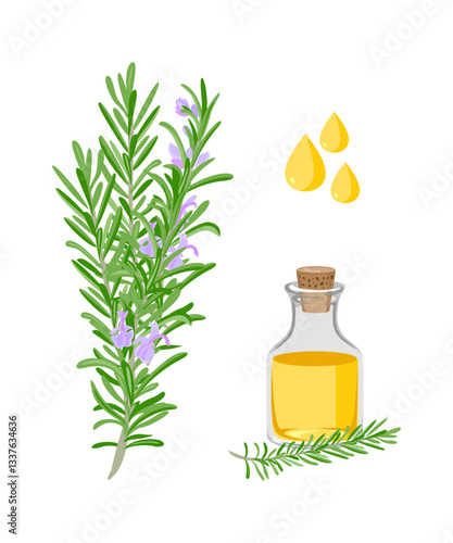 Rosemary essential Oil and Rosemary leaf and flowers isolated on white background