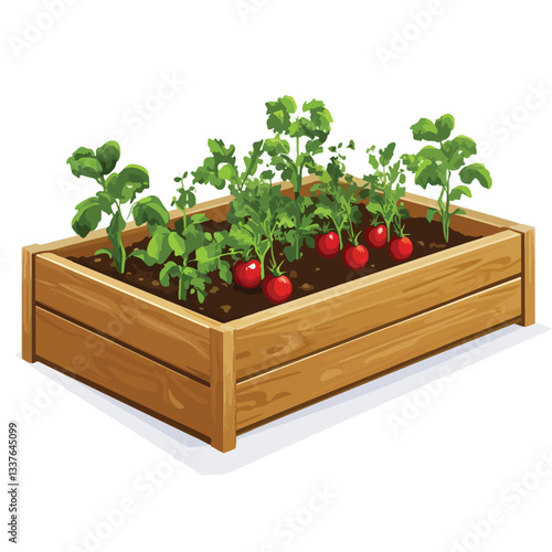 Organic Wooden Raised Bed Vegetable Garden