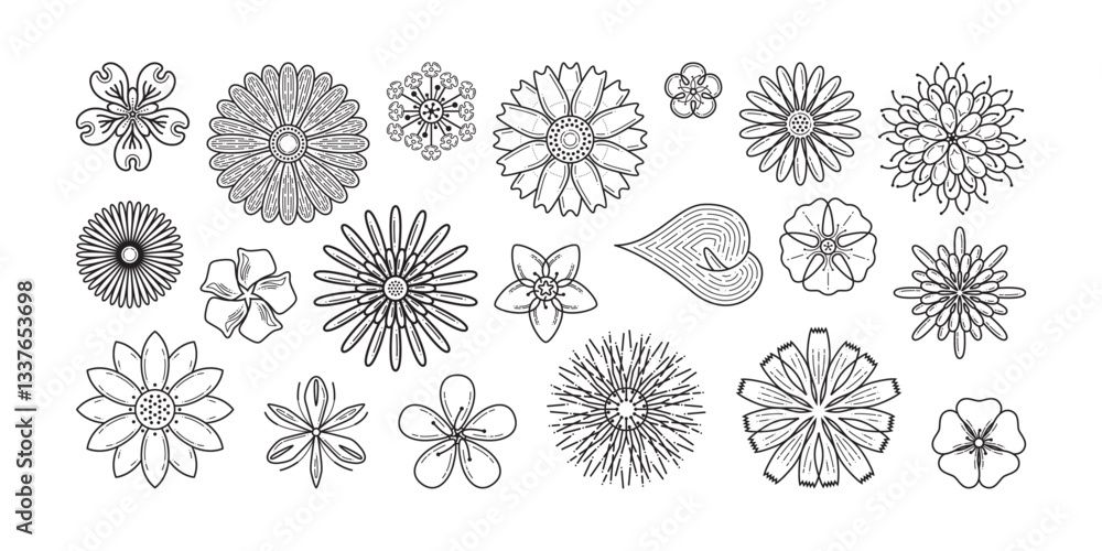 FLOWER OUTLINE STOCK 001 FLOWER OUTLINE STOCK 001