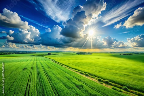 Lush Green Grass Field, Blue Sky, White Clouds, Sunny Landscape - Aerial View, Copy Space