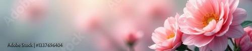 Elegant flower bunch, pastel shades, soft focus , pretty, photography