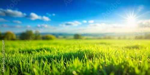 Miniature Green Grass Field under a Vivid Blue Sky - Sunny Day Tilt-Shift Photography