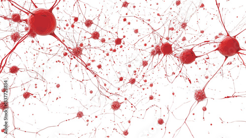 A microscopic view of a network of neurons.  The image shows numerous red, spherical neuron cell bodies connected by thin, branching, thread-like structures (axons and dendrites) against a white