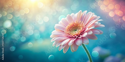 Minimalist Close-Up of a Single Delicate Flower Bloom