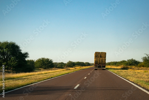 truck transporting alfalfa rolls