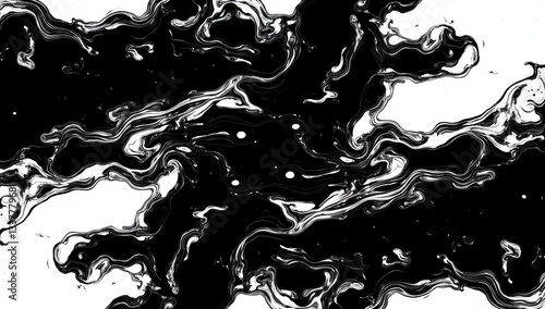 Abstract Black and White Fluid Forms with Bold Dramatic Contrast