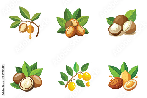 Argan Fruits With Leaves Vector Illustration Set For Design