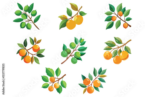 Colorful Argan Fruit Branches with Oranges and Green Fruits