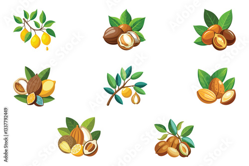 Argan Fruits With Leaves Vector Illustration Set For Design
