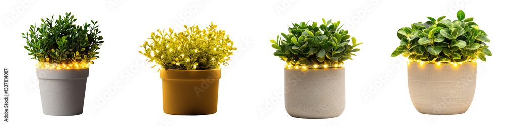 Assortment of potted plants succulents and greenery in modern ceramic containers arranged for decorative display in a home or office setting Assortment of potted plants succulents and greenery in modern ceramic containers arranged for decorative display in a home or office setting