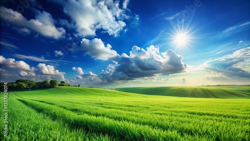 Serene Green Field Under Vast Blue Sky - Nature Landscape Stock Photo