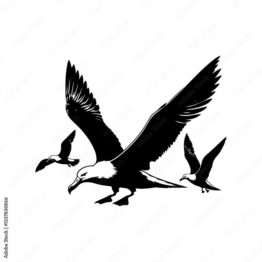Albatross bird silhouette vector file Albatross bird silhouette vector file