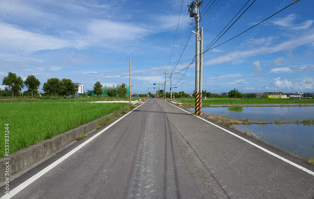 Fototapeta premium Country road passing through green rice paddies in yilan, taiwan