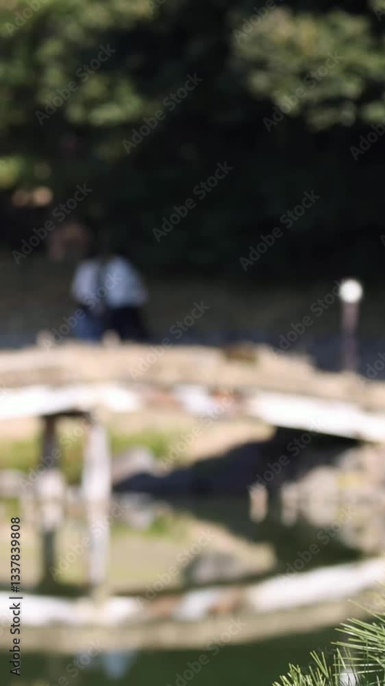 Tranquil Garden Stroll Over Bridge Tranquil Garden Stroll Over Bridge